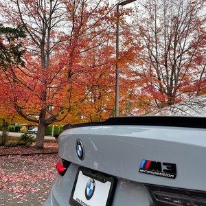 Meet your Posher, Shaneel